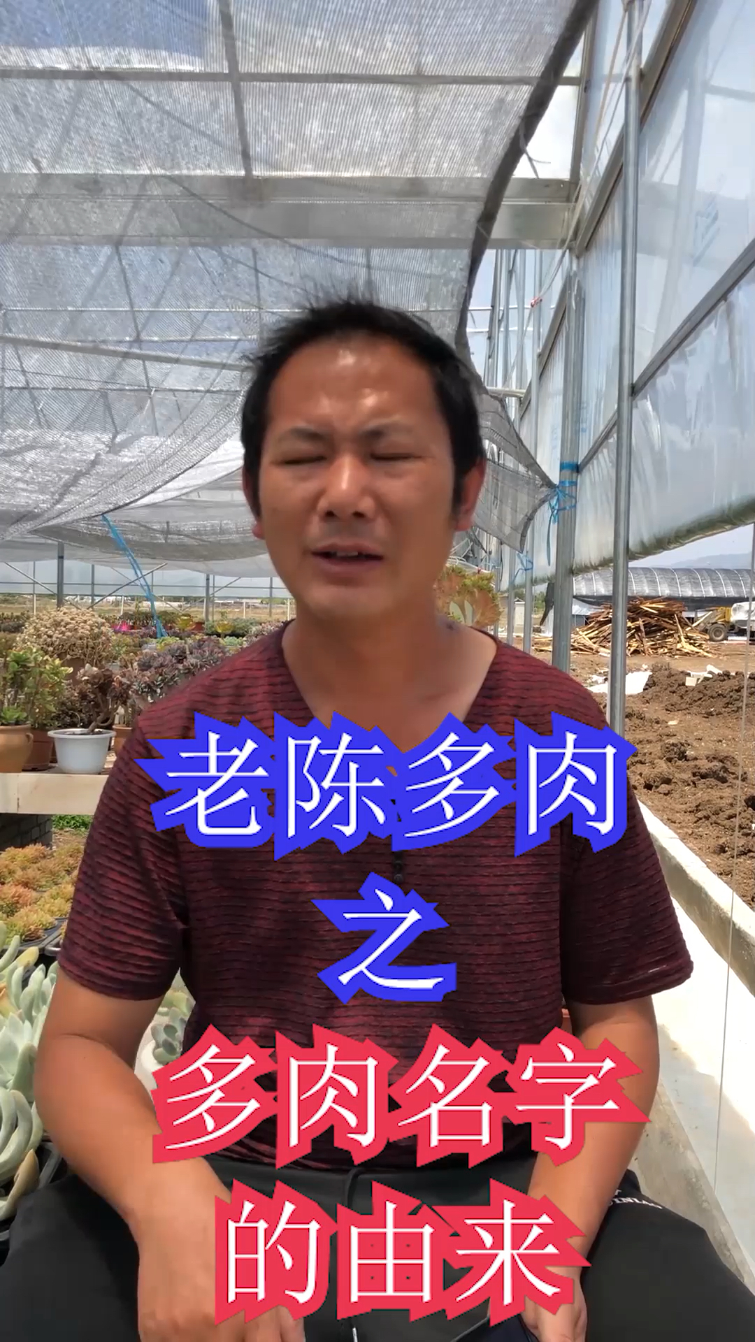 #心动云南老陈说多肉#多肉植物名字好搞笑好奇葩!来盘点一下!
