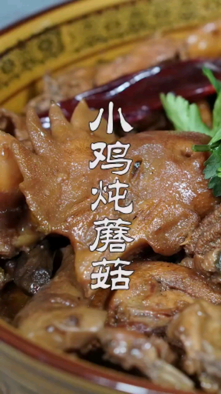 东北菜,小鸡炖蘑菇,真好吃呀