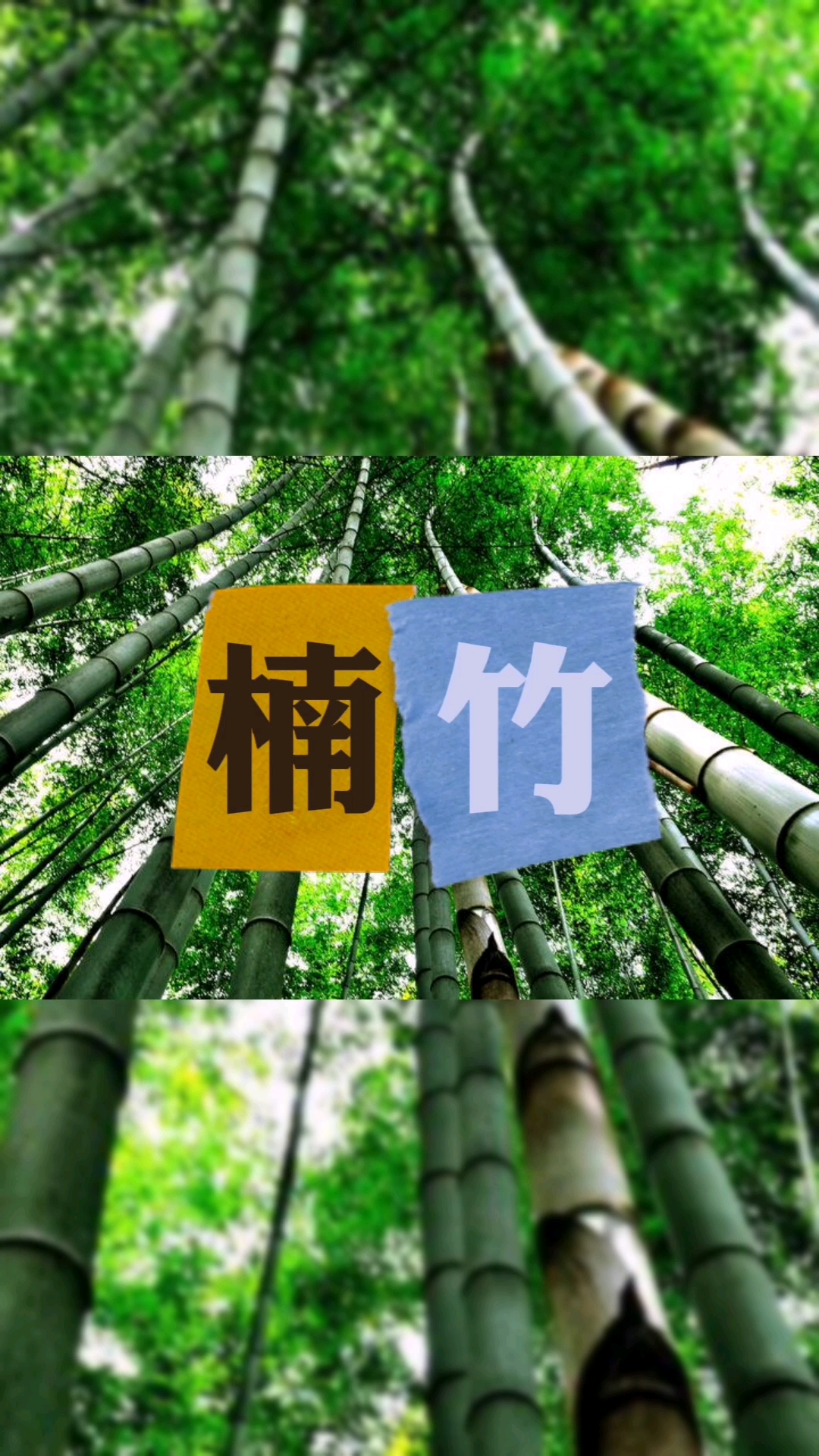 分享视频