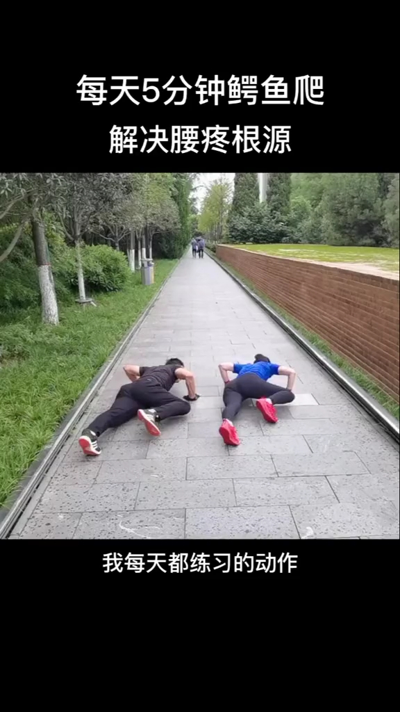 分享视频