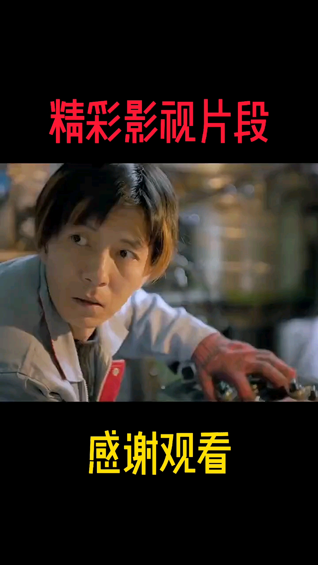鸡毛飞上天,跟对人做对事,千里马遇伯乐