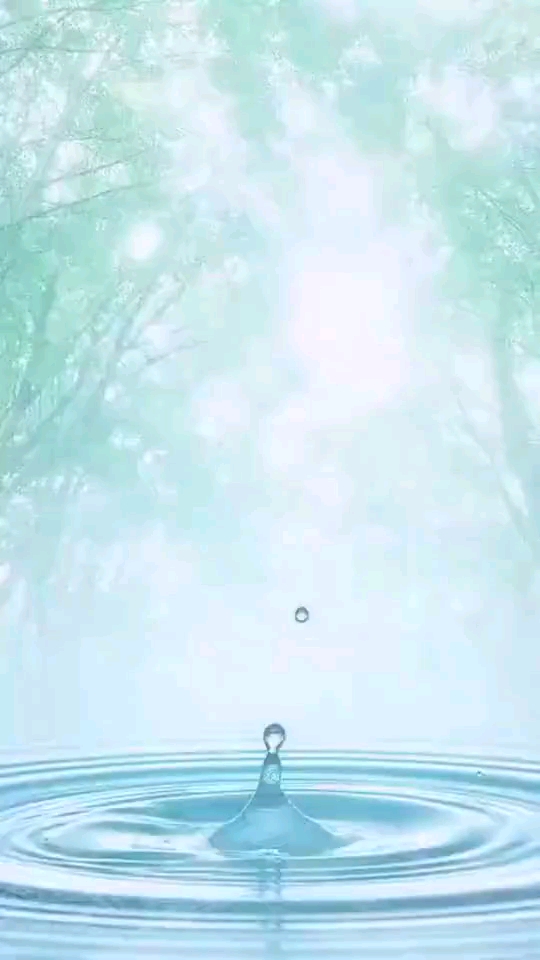 分享视频