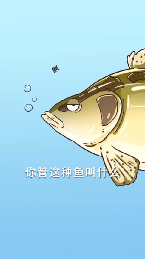 铁锅炖鳜鱼