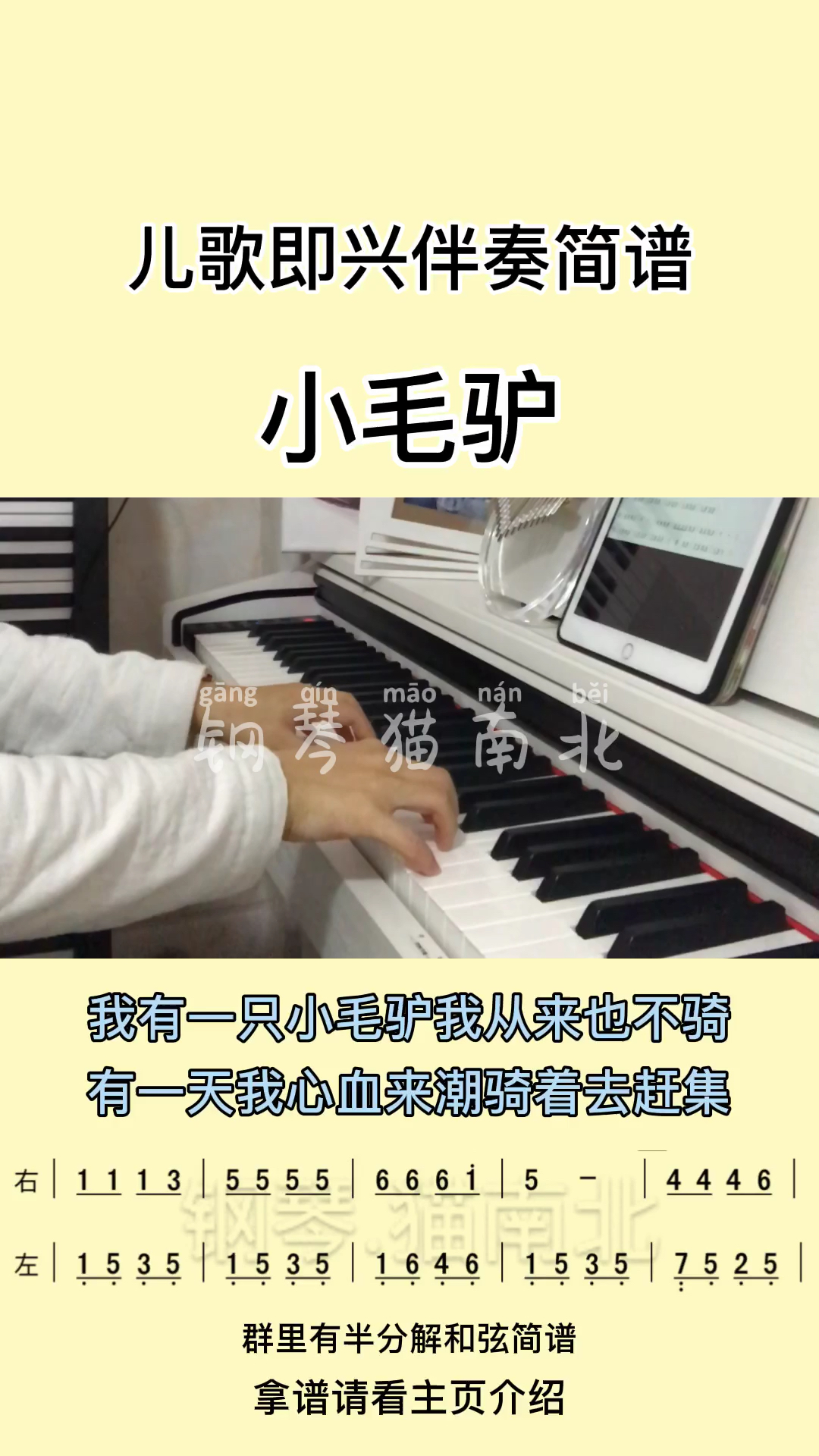 #小毛驴#小毛驴