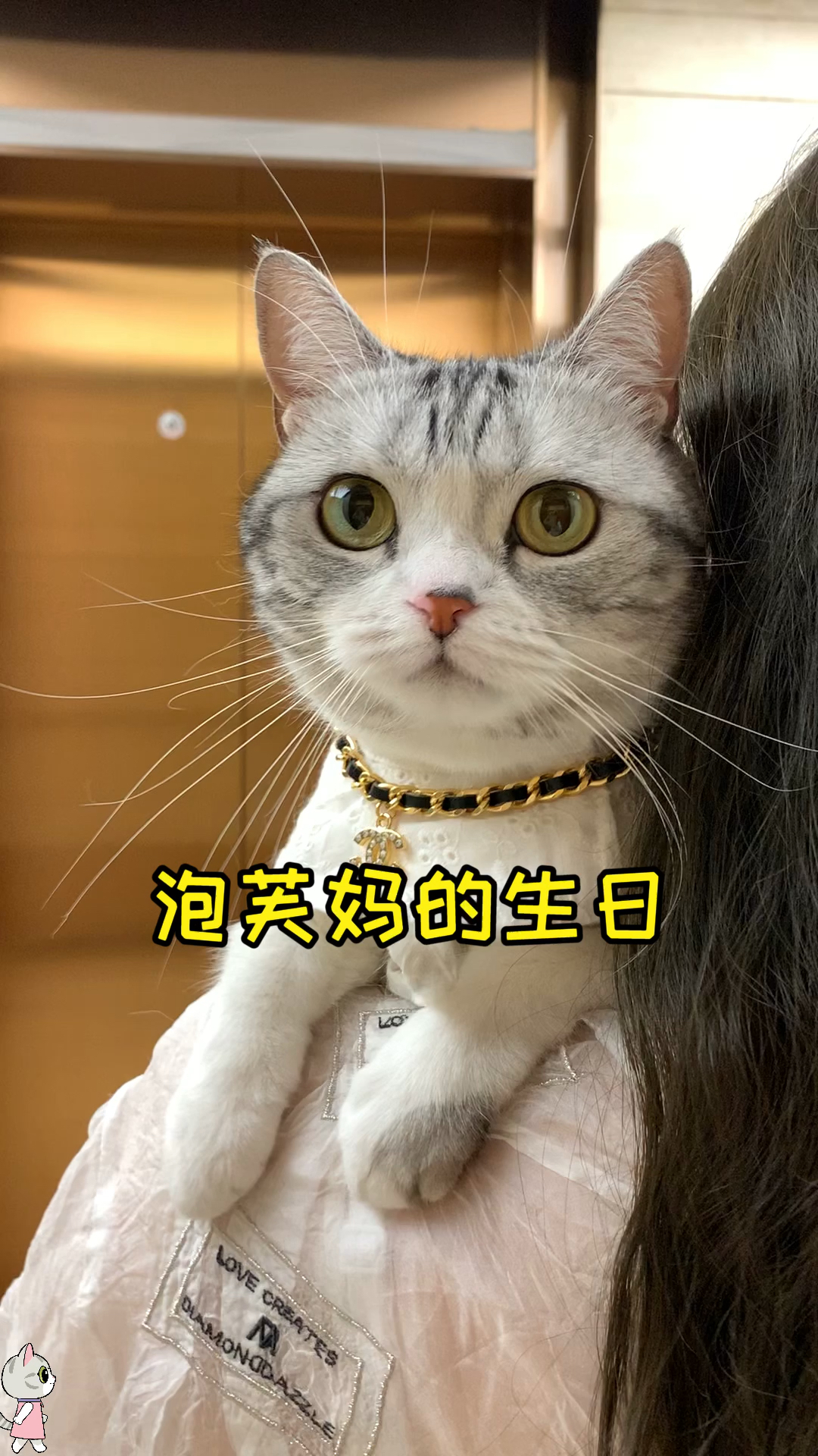 #猫咪日记#让一让,让一让,过生日了