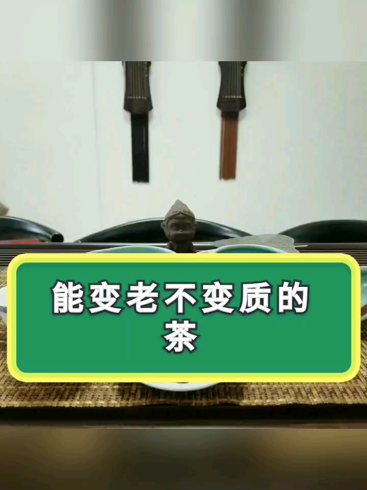 #茶#白茶，能成长的茶