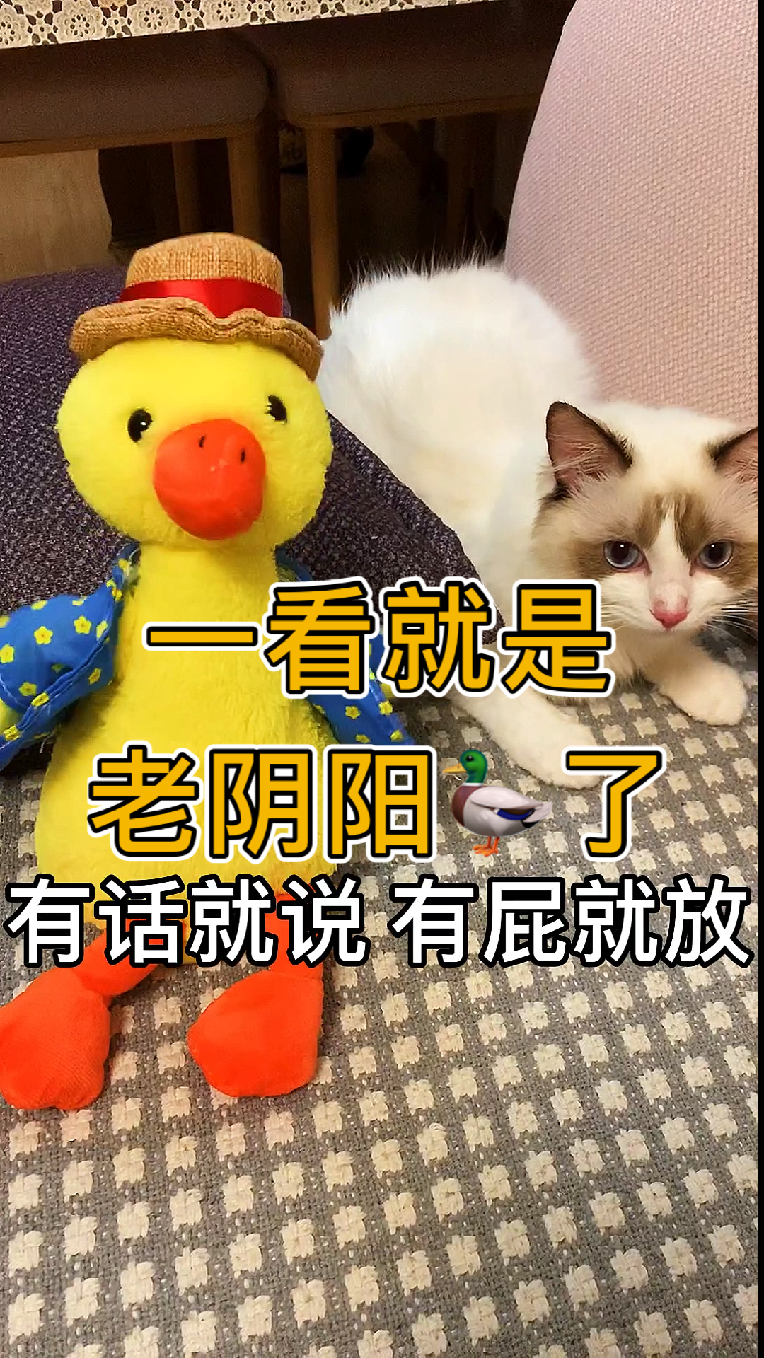 这鸭子一看就是老阴阳了!
