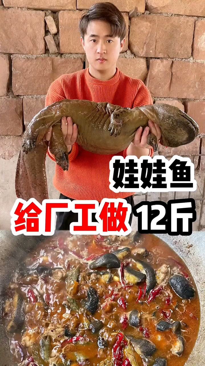 人工养殖的娃娃鱼我也是第一次吃,肉紧实,油脂肥腻
