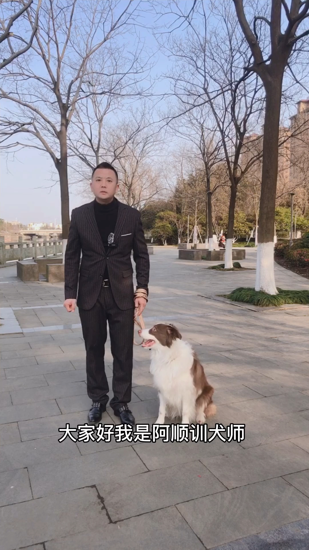 #独竖一知#狗狗的牵引绳应该怎么选#好知识#