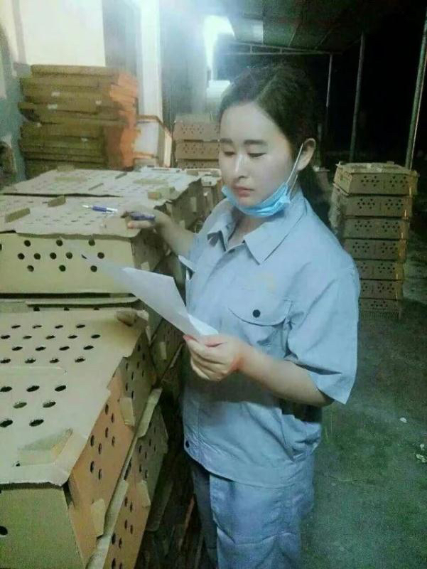 云南省金苗孵化车间。共赢云南省鸡苗发展市场。鸡苗多多,请点点关注。