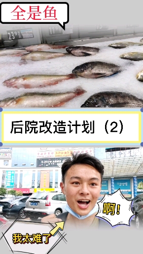 #乡村生活#咱家后院的大水缸缺金鱼，那么今天就安排上。