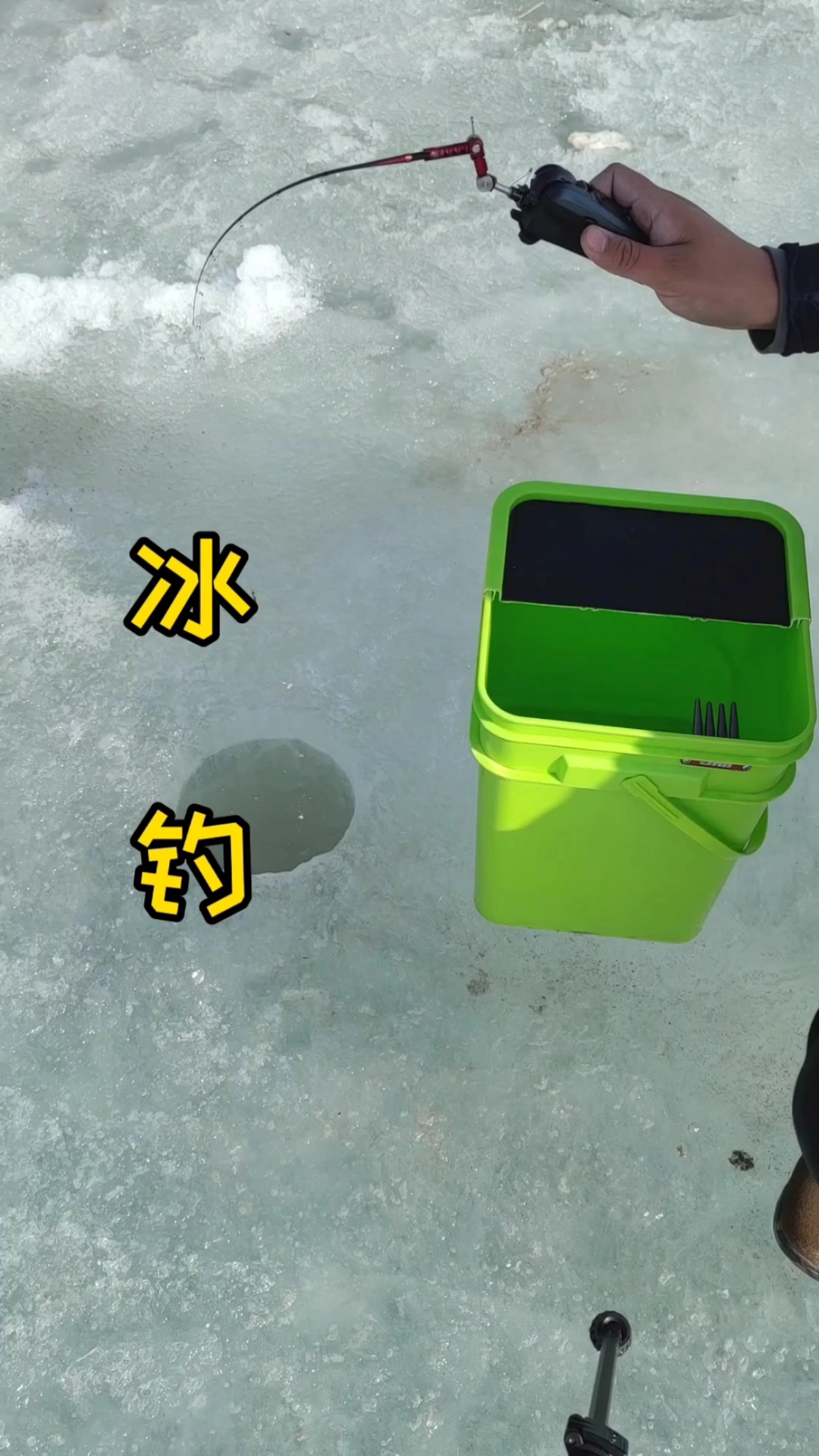 #钓鱼#野外冰钓小公鱼