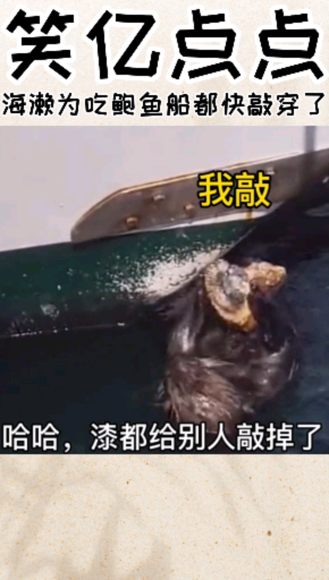 #搞笑视频#海濑为吃鲍鱼船都快敲坏了