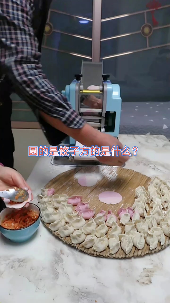 双色双味手工制作,手工饺子,饺子皮,馄饨烧卖各种美食制作开始