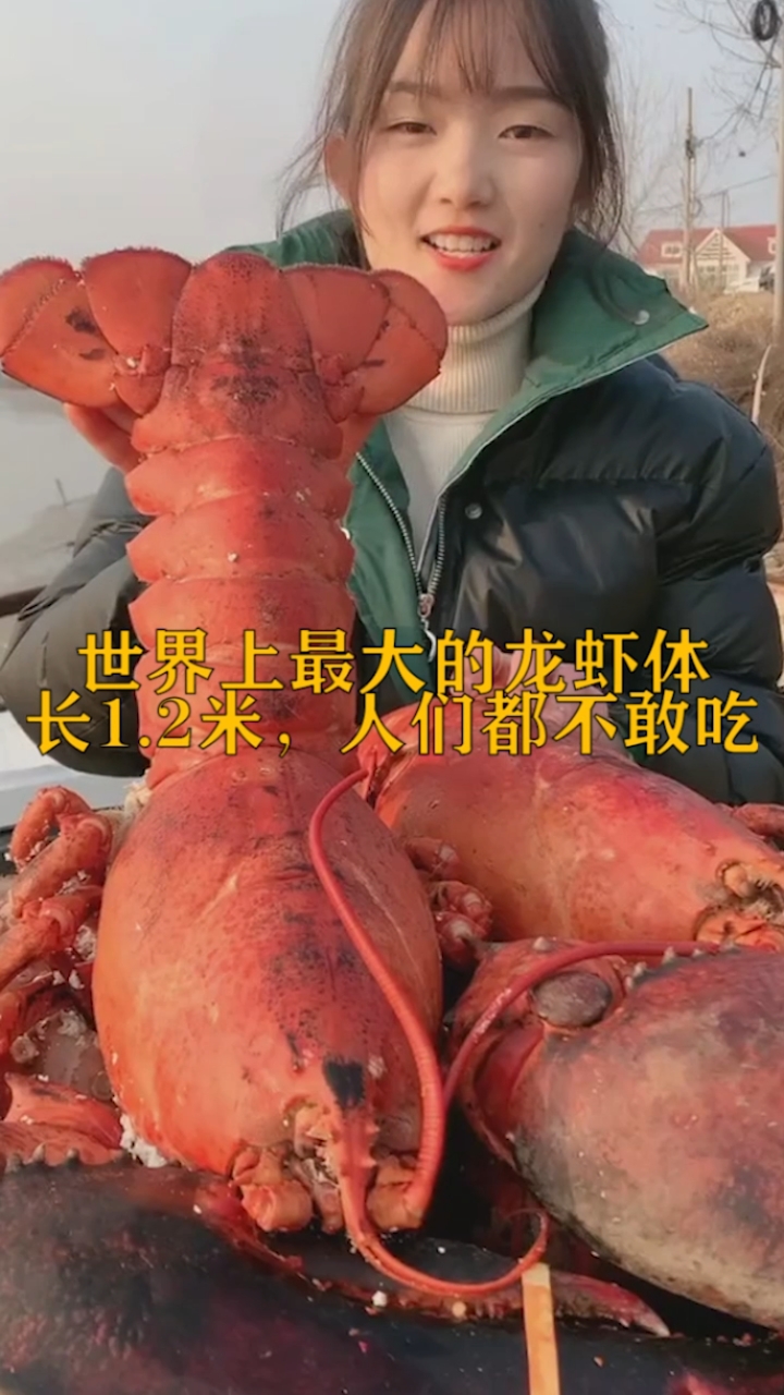 #奇闻趣事抢先看#世界上最大的龙虾体长一点2米,人们都不敢吃。
