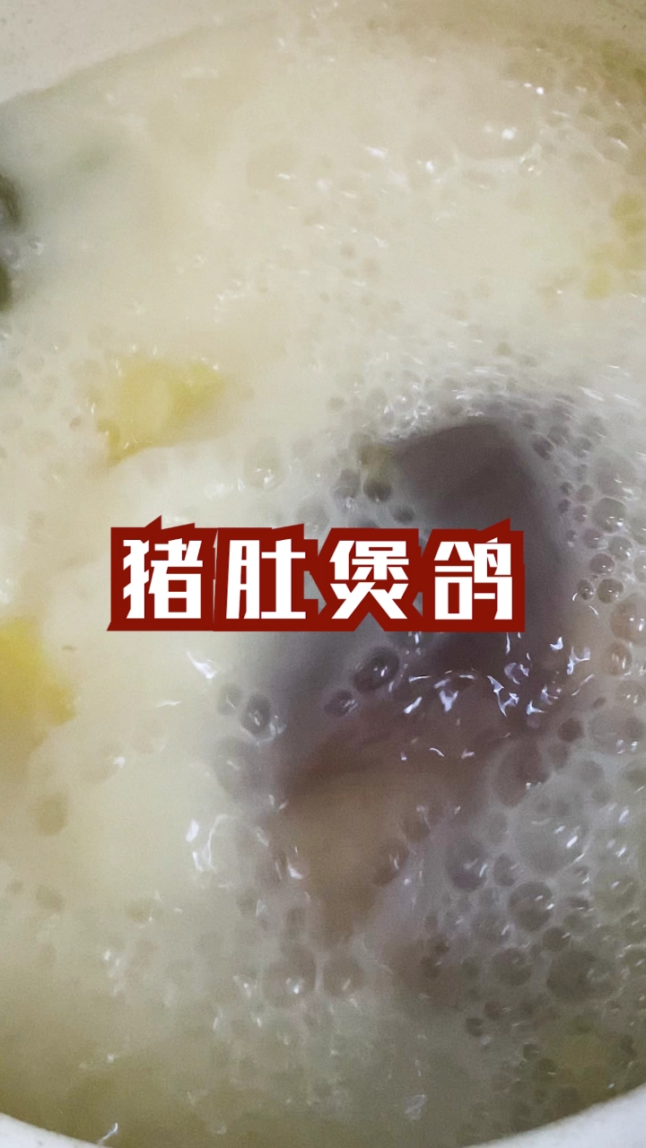 #美食看中国#猪肚鸽子汤，好肠胃就要喝