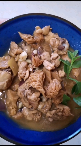 北方中秋节必吃,猴头菇炖鸡腿。