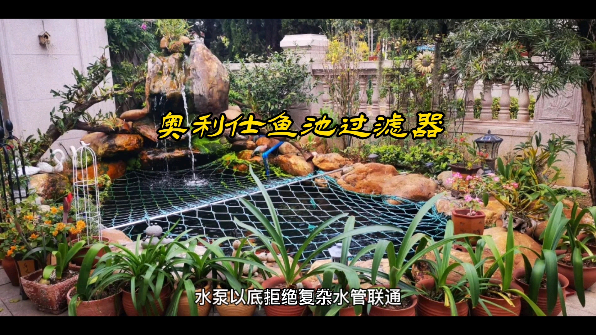 #好物推荐#庭院锦鲤鱼池的水景建设