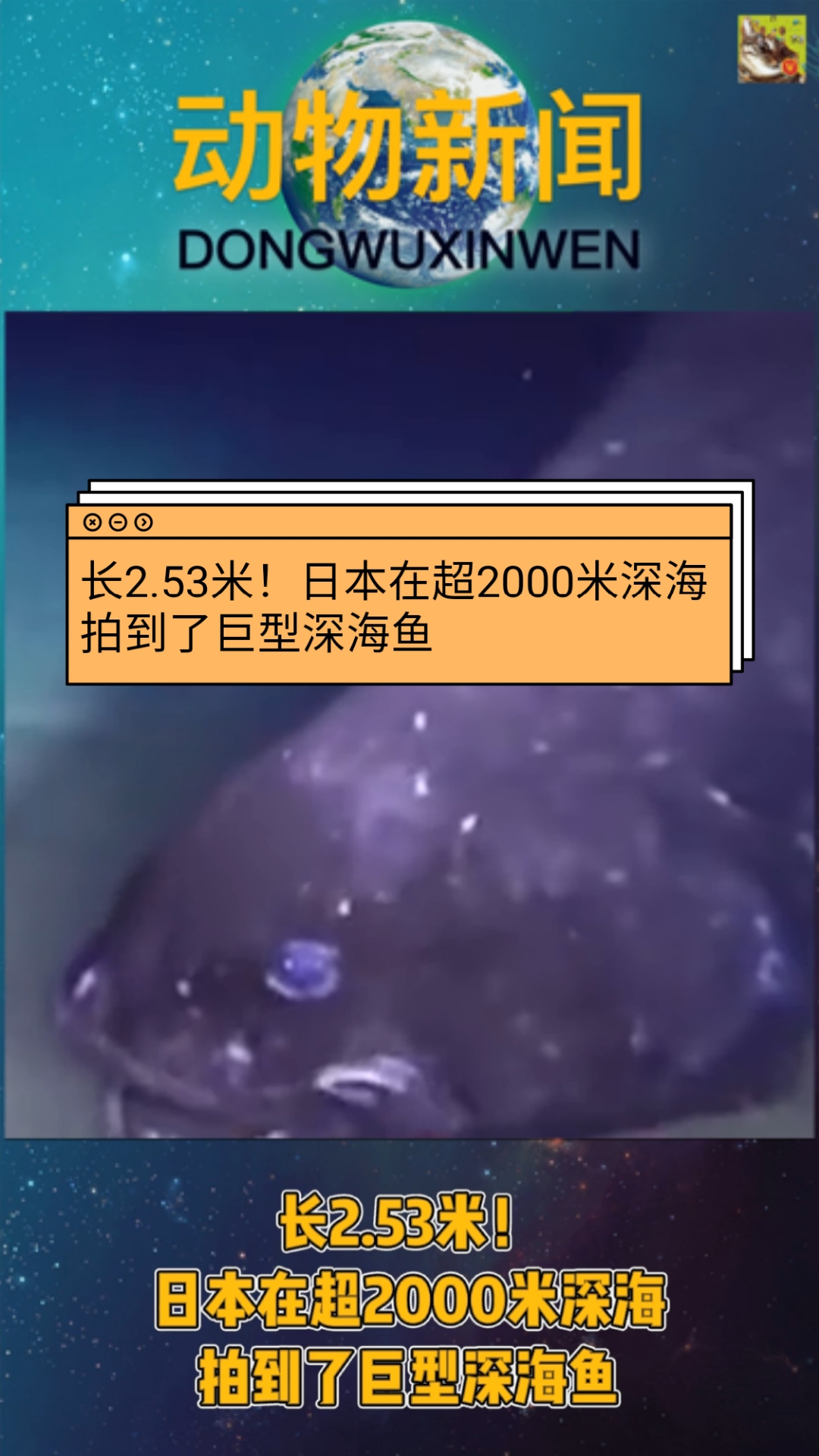 长2.53米!日本在超2000米深海拍到了巨型深海鱼
