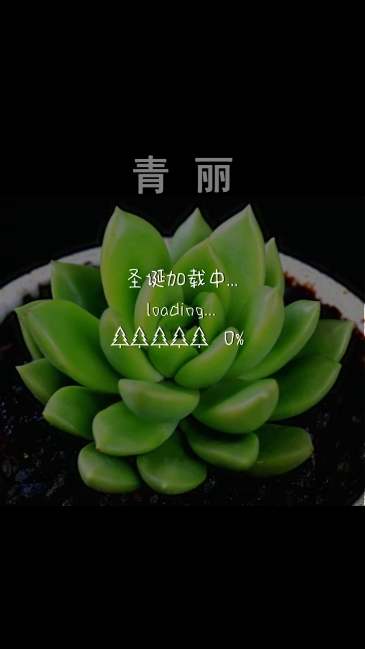 青丽
