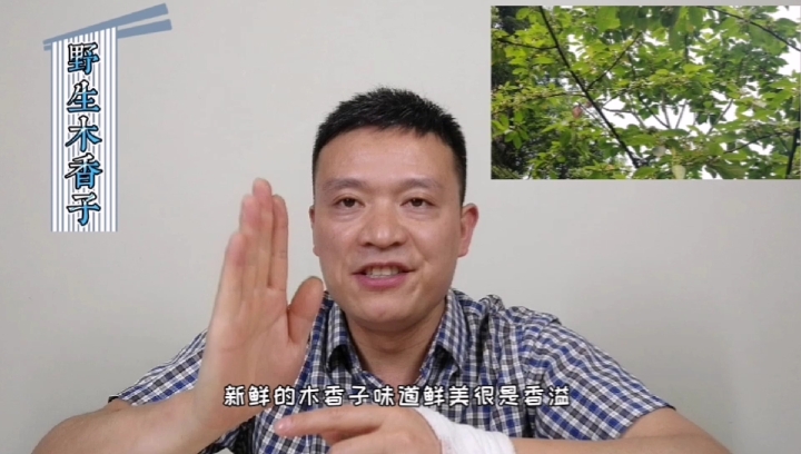 #家乡特色美食#走进大山,念哥运气真好!找到很多野生的木香子食材,天然的珍稀香料,这下有口