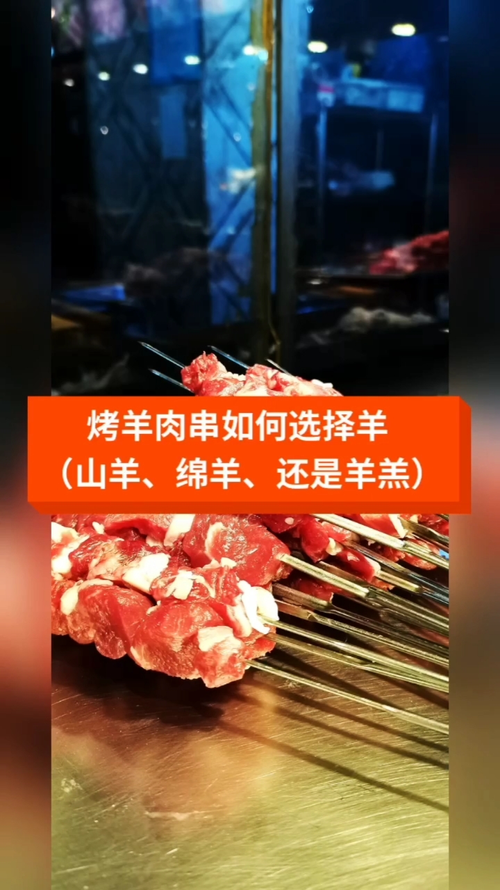#万物皆可烧烤#烤羊肉串如何选羊【山羊绵羊羊羔肉】