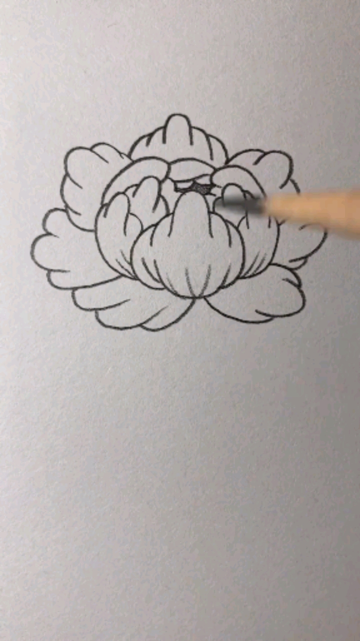 #简笔画#牡丹花教程