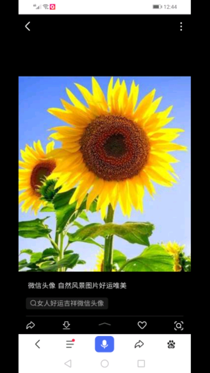 分享视频