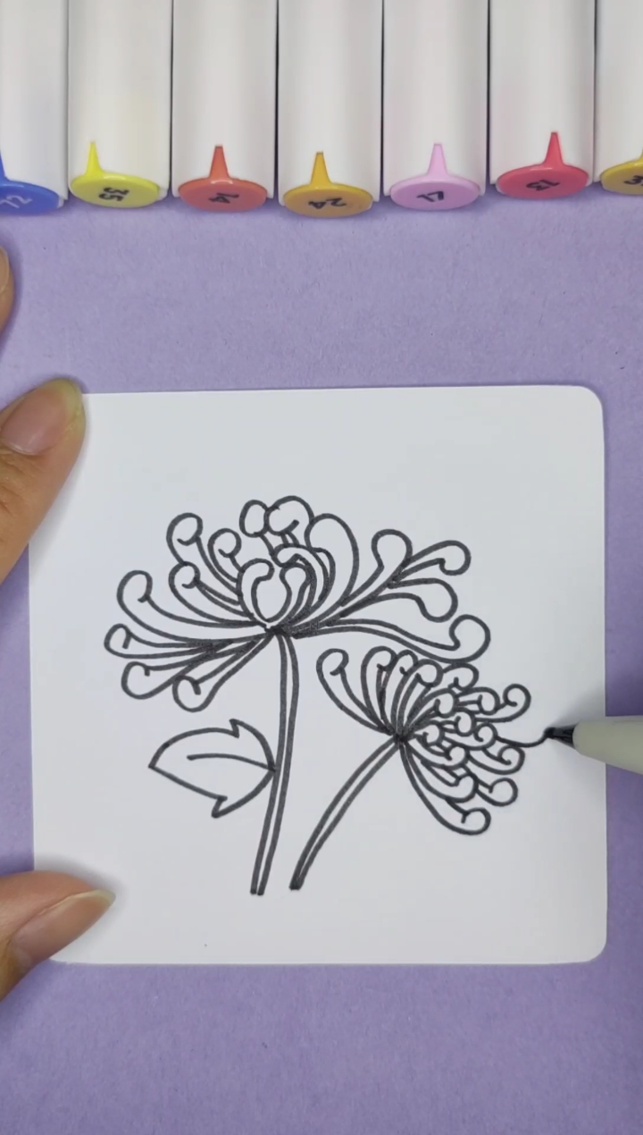 #简笔画#一分钟画菊花