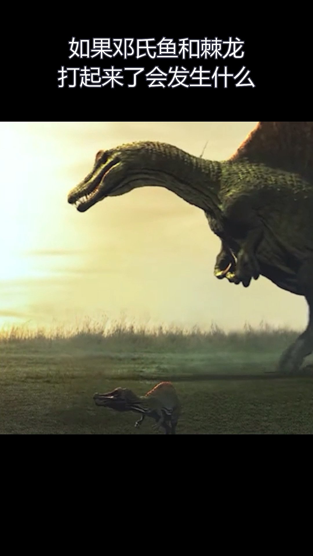 #全民涨知识#如果邓氏鱼和棘龙打起来了会发生什么