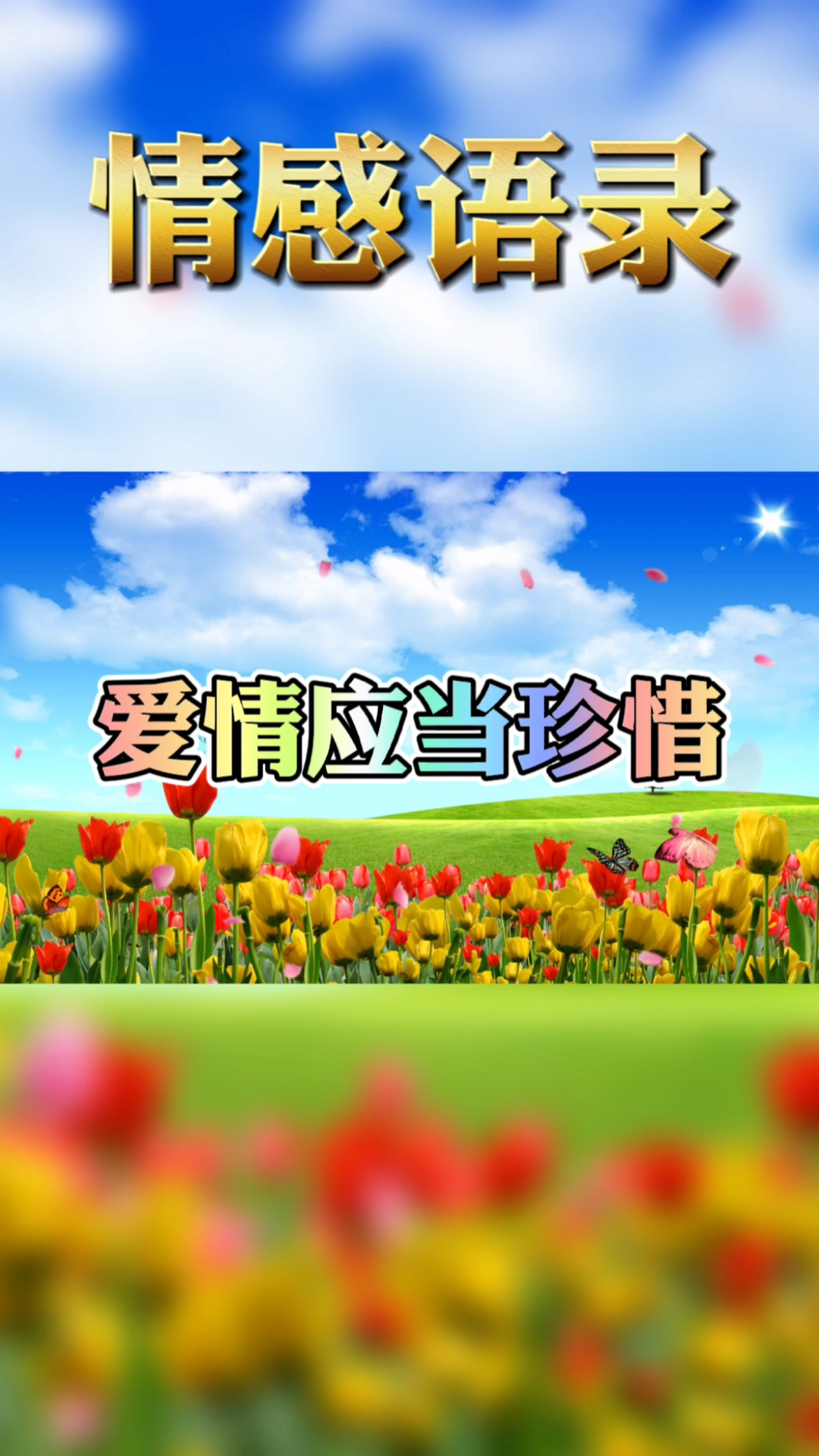#情感故事#好好珍惜你的爱情吧。情感语录,感悟人生,心灵鸡汤