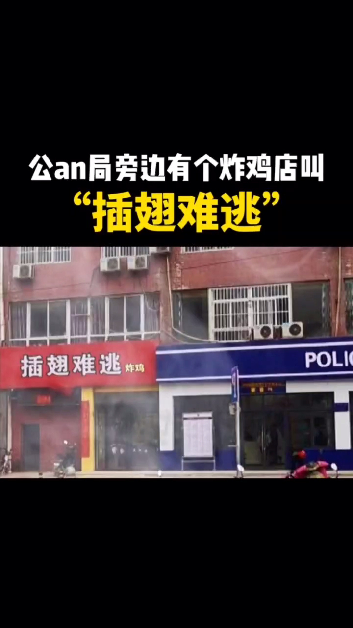 #logo设计#这下好了,插翅难逃了吧