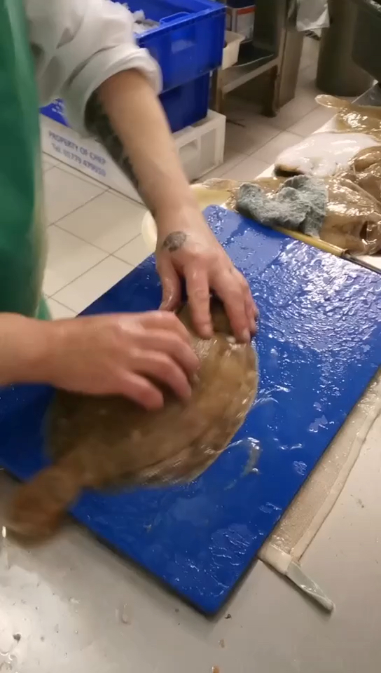 #美食#碟鱼的处理方法,这个手法怎么样?