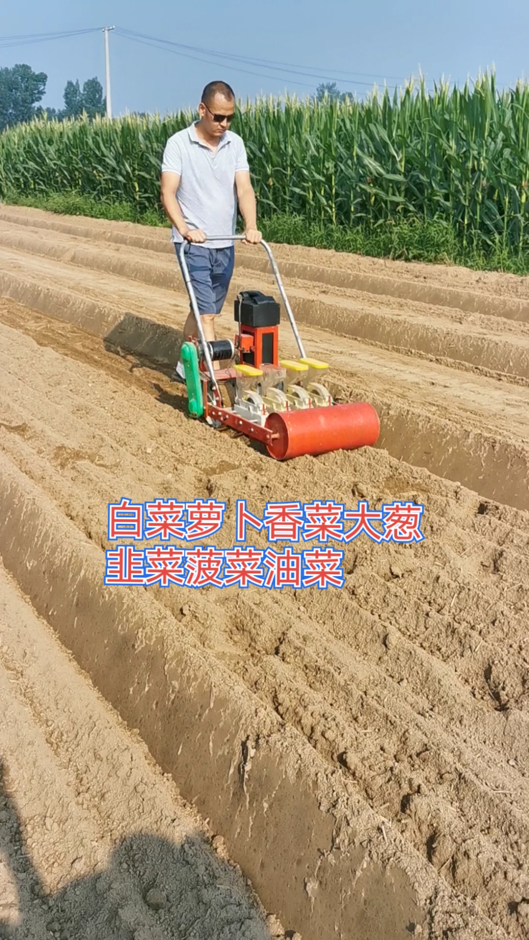 #电动蔬菜种子播种机#电瓶带的小籽种子播种机,可播种各种小颗粒蔬菜种子,药材种子,2～5行