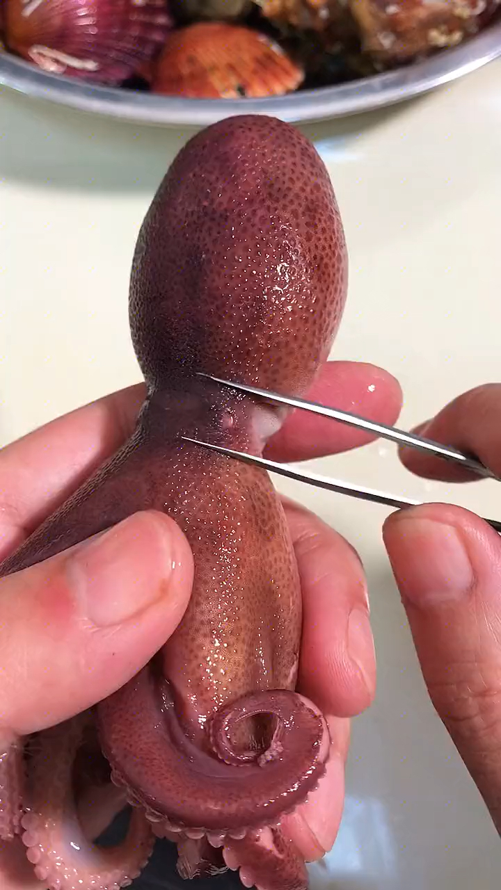 八爪鱼都哪里不能吃,您知道吗?