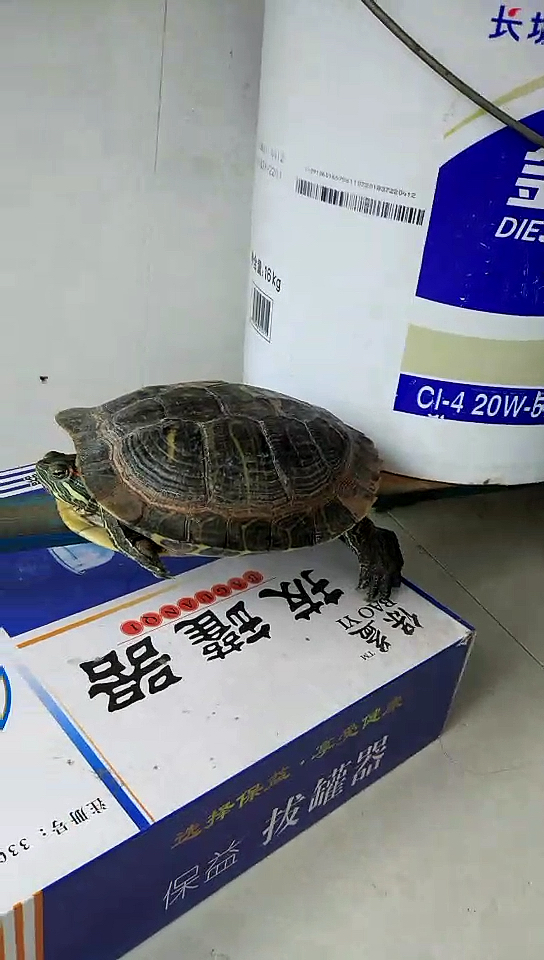 #音为有你#我在遨游太空!
