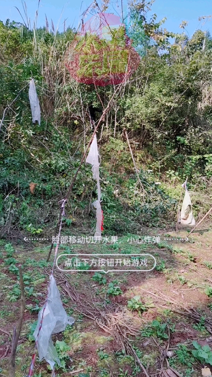 #水果游乐园#砍掉杂树,利于庄稼生长