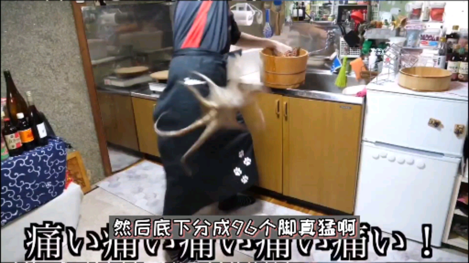 96脚的八爪鱼