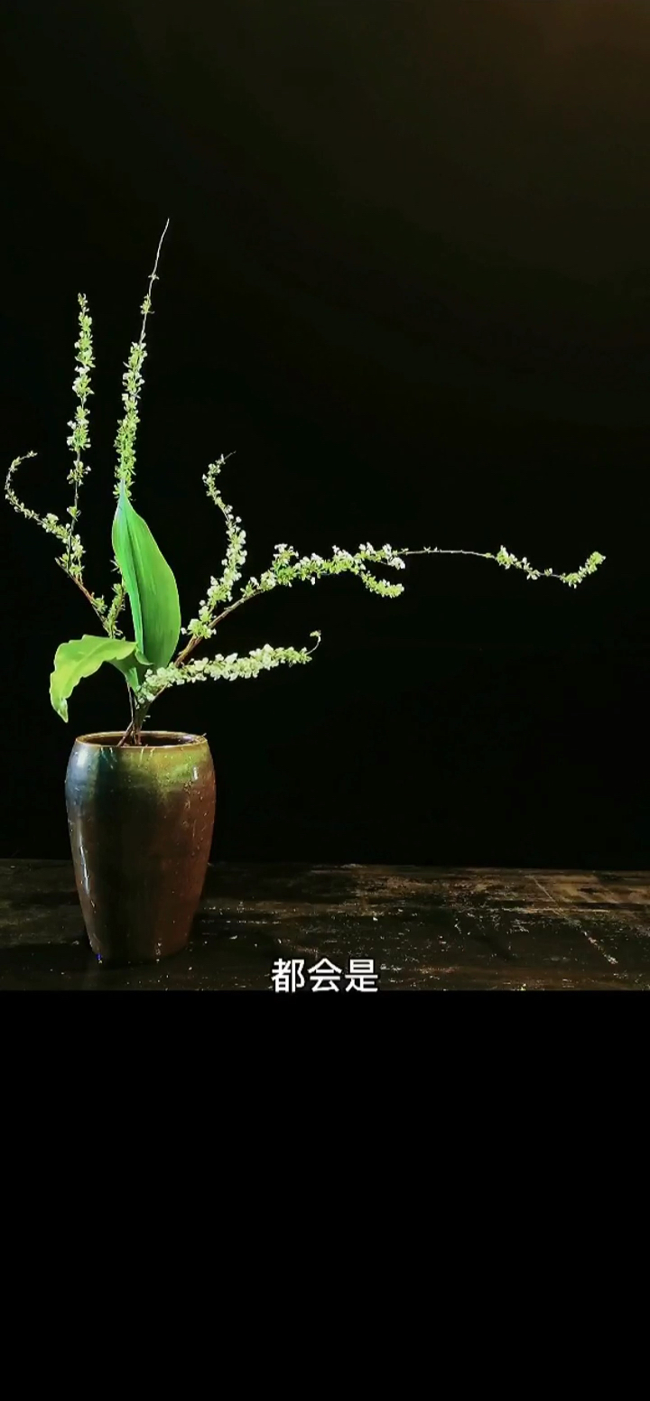 #插花培训#东方自然风插花艺术