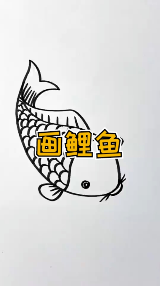 #简笔画#超简单的简笔画鲤鱼,你学会了吗?
