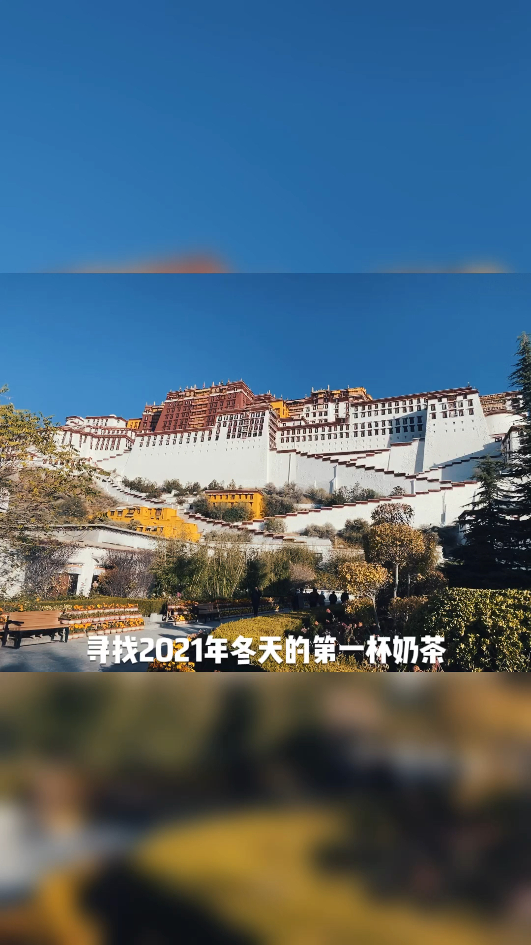 寻找2021年冬天的第一杯奶茶