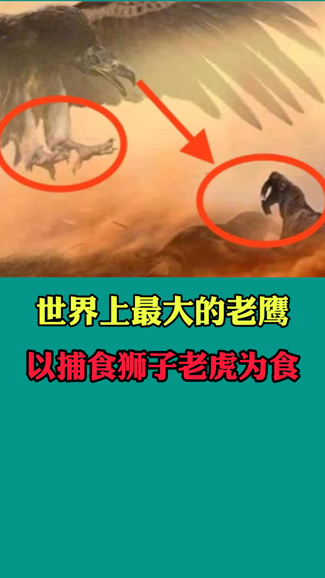 #世界之最#