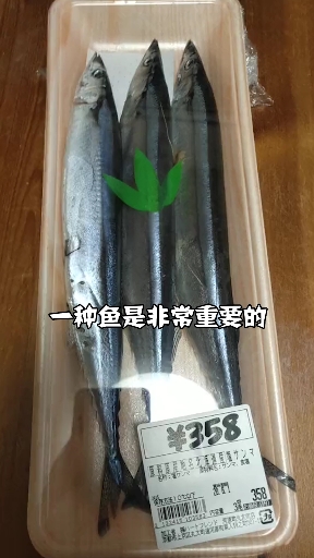 这个鱼日本人常吃,被称为脑黄金,你们知道是什么吗?