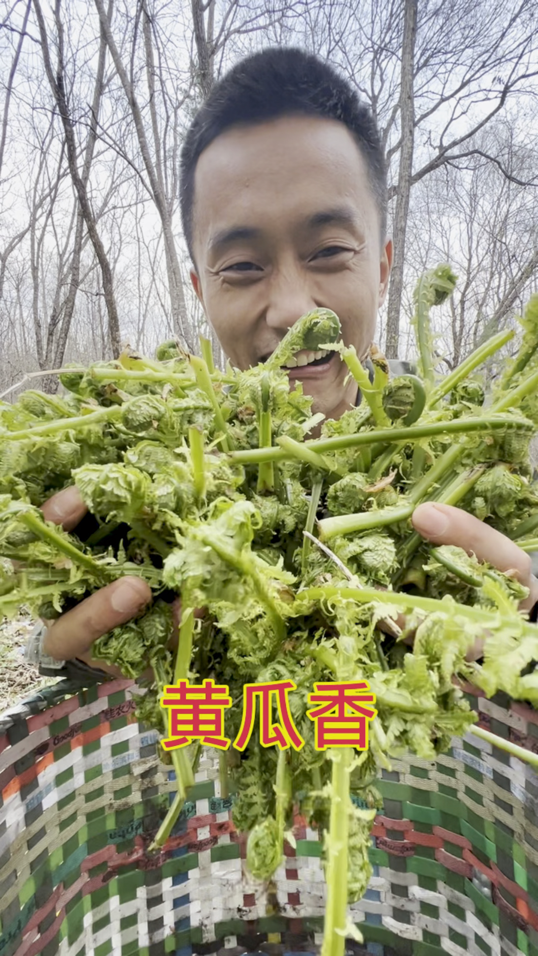 #记录生活#美美山野菜的味道,黄瓜香