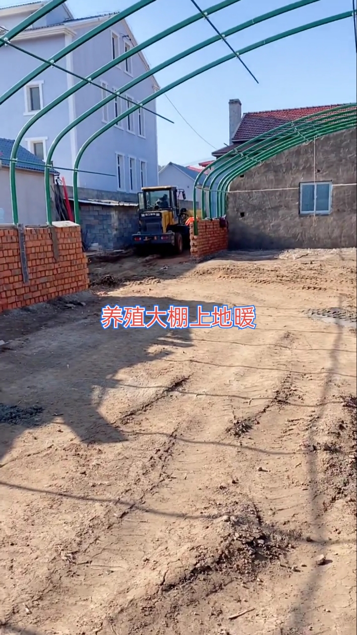 #天津养殖大棚侠#建棚的留个关注