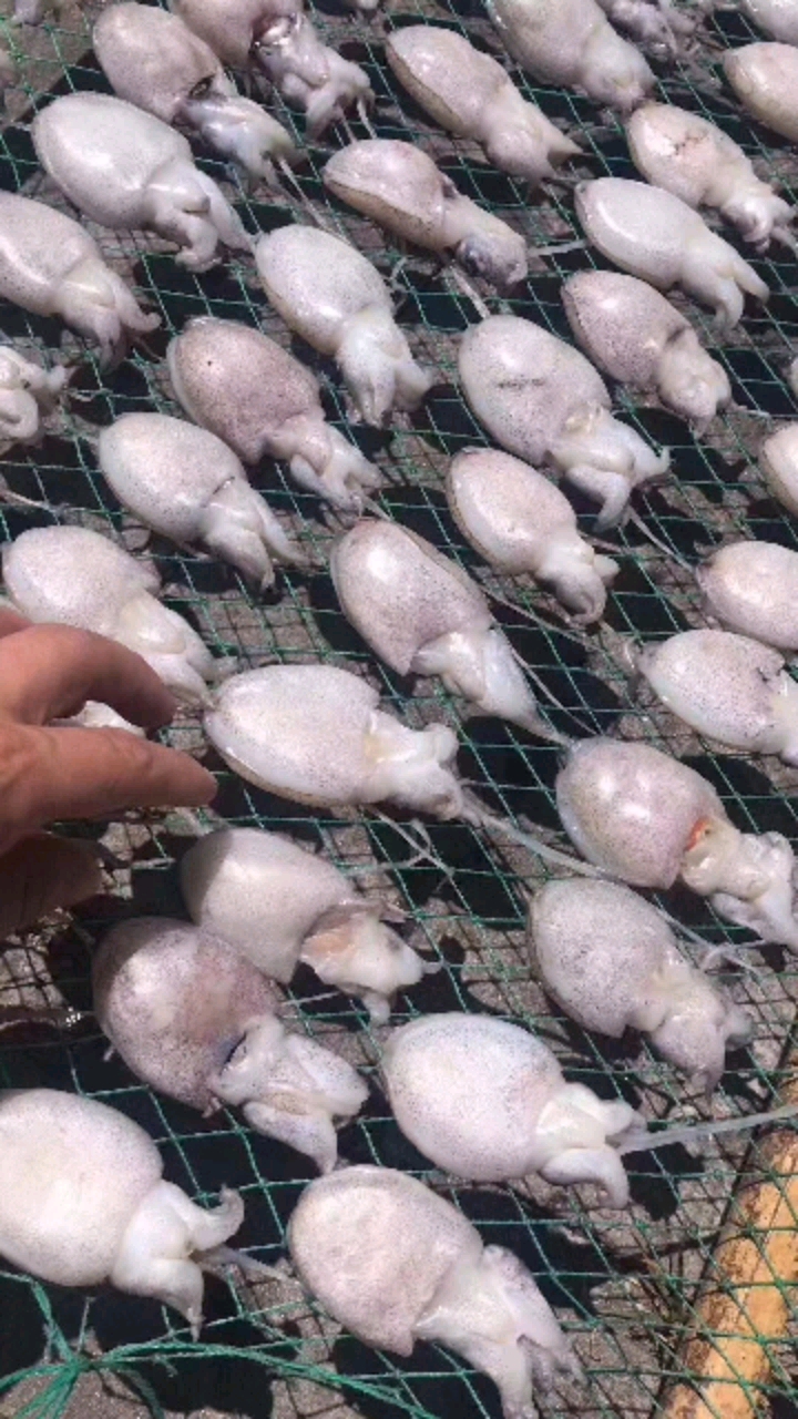 小胖墩提鲜能手,野生小墨鱼仔鲞只只长膏的,清蒸红烧都可以哦超级好吃