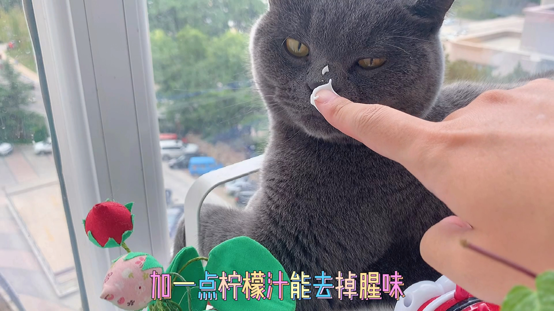 #食神大PK#彩虹云朵面包