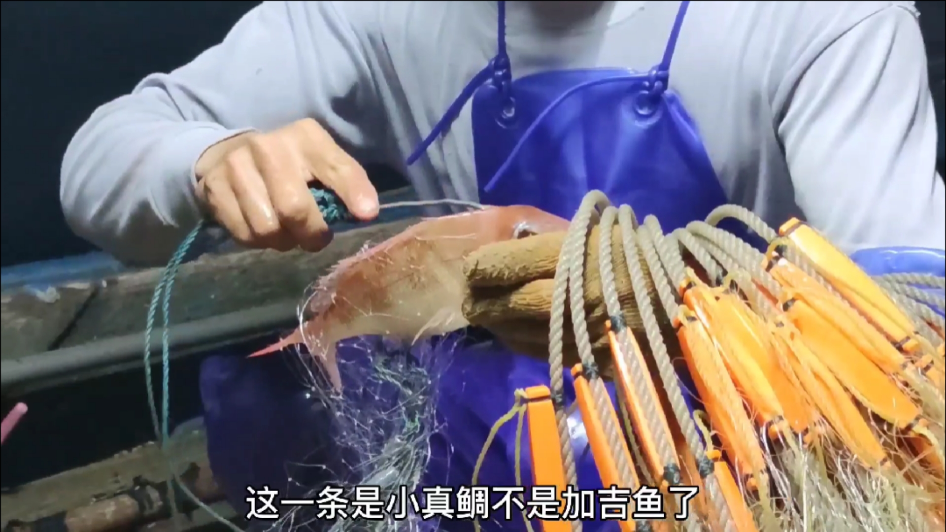 #赶海捉海鲜#彪哥这次小网没什么收获,绝望之际大网却连续上了十几条大货,还有大石斑(上)