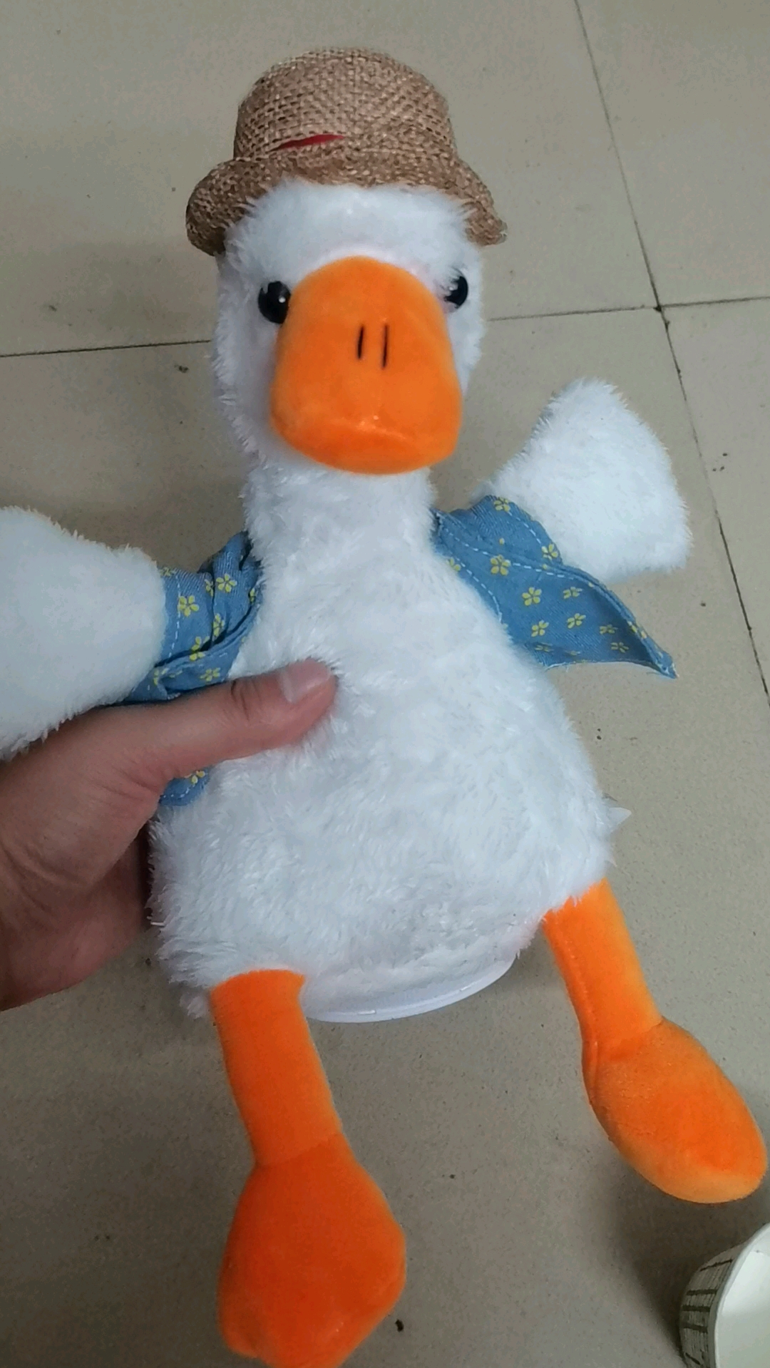 小鸭子喝水了