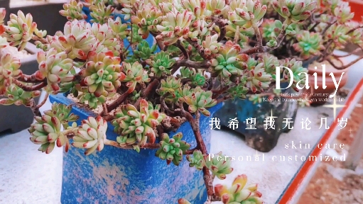 #多肉植物#肆意生长的红旗儿就像怒放的生命,灿烂而精彩!